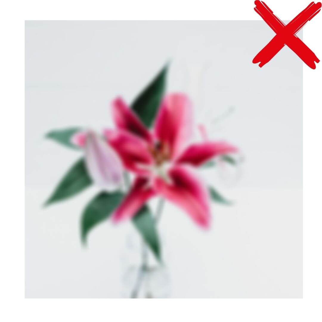 低解析度圖片示意圖