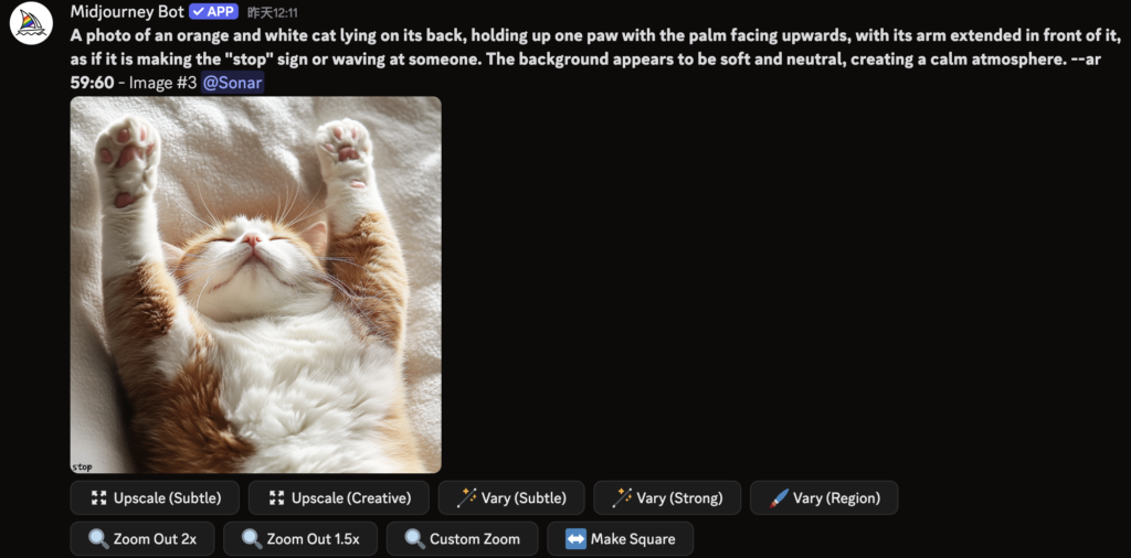 Midjourney 指令示意圖